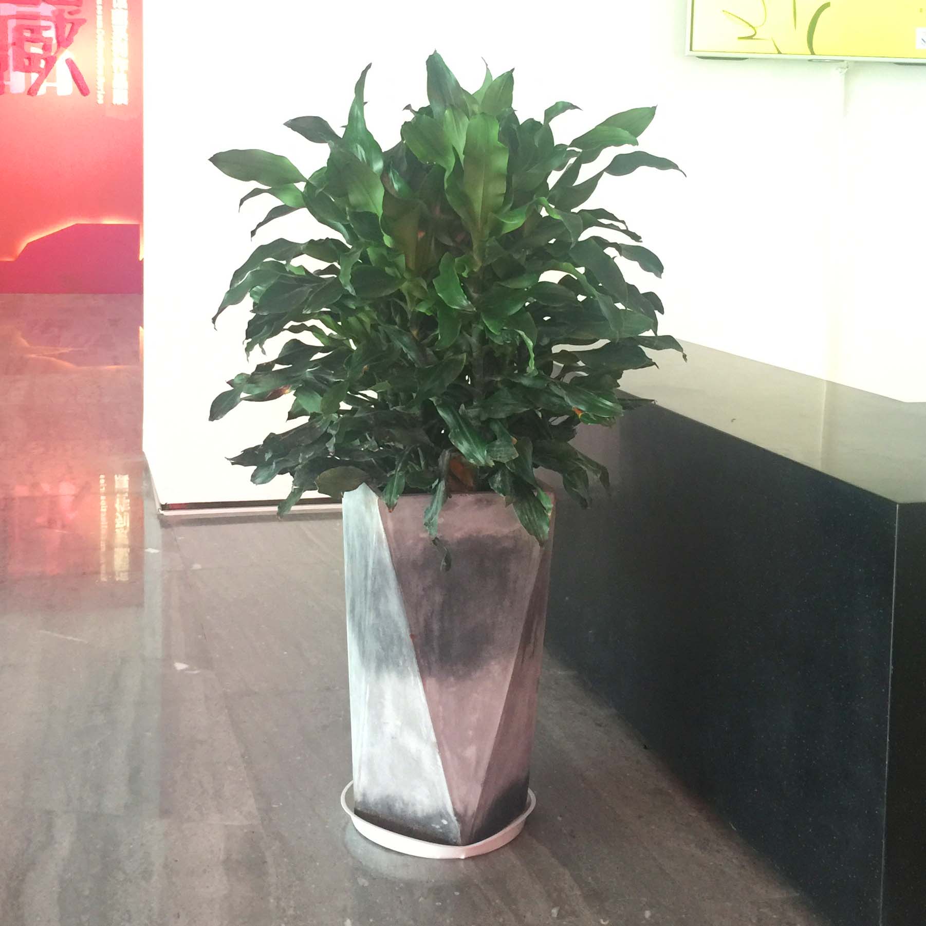 室内办公绿化的好处